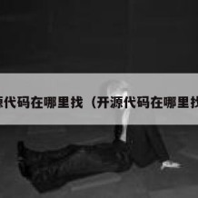 开源代码在哪里找（开源代码在哪里找到）