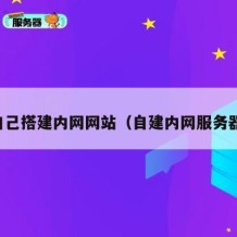 自己搭建内网网站（自建内网服务器）