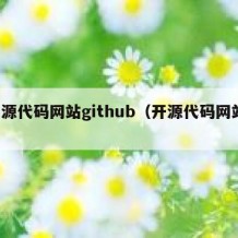 开源代码网站github（开源代码网站 g）