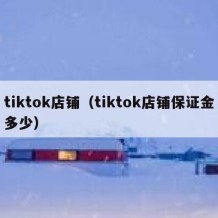 tiktok店铺（tiktok店铺保证金多少）