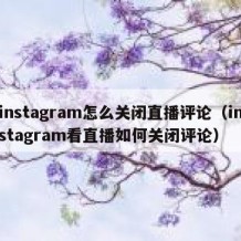 instagram怎么关闭直播评论（instagram看直播如何关闭评论）