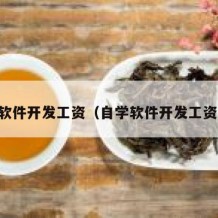 自学软件开发工资（自学软件开发工资多少）