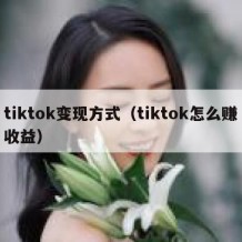 tiktok变现方式（tiktok怎么赚收益）