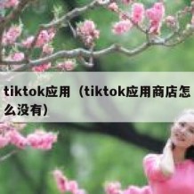 tiktok应用（tiktok应用商店怎么没有）