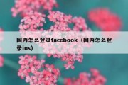 国内怎么登录facebook（国内怎么登录ins）