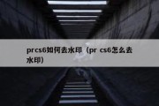 prcs6如何去水印（pr cs6怎么去水印）