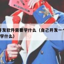 自己开发软件需要学什么（自己开发一个软件?需要学什么）