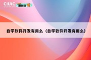 自学软件开发有用么（自学软件开发有用么）