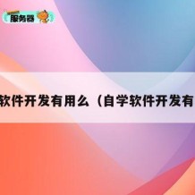 自学软件开发有用么（自学软件开发有用么）