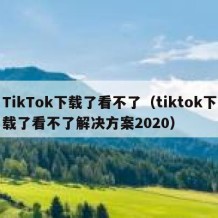 TikTok下载了看不了（tiktok下载了看不了解决方案2020）