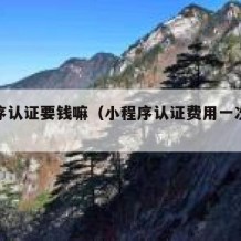 小程序认证要钱嘛（小程序认证费用一次是多少）