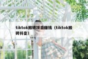 tiktok搬砖项目赚钱（tiktok搬砖抖音）