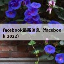 facebook最新消息（facebook 2022）