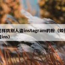 怎样防别人盗instagram的粉（如何盗ins）