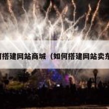 如何搭建网站商城（如何搭建网站卖东西）