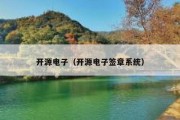 开源电子（开源电子签章系统）