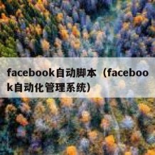 facebook自动脚本（facebook自动化管理系统）