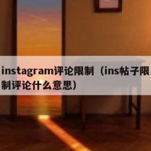 instagram评论限制（ins帖子限制评论什么意思）