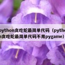 python贪吃蛇最简单代码（python贪吃蛇最简单代码不用pygame）