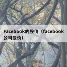 Facebook的股价（facebook公司股价）