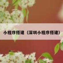 小程序搭建（深圳小程序搭建）