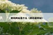 源码网站是什么（源码建网站）