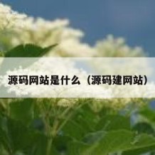 源码网站是什么（源码建网站）