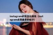 instagram的赞怎么赚钱（instagram点赞最多的帖子）