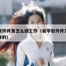 自学软件开发怎么找工作（自学软件开发怎么找工作的）