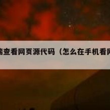 手机端查看网页源代码（怎么在手机看网页源代码）