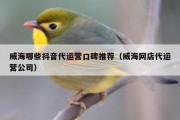 威海哪些抖音代运营口碑推荐（威海网店代运营公司）