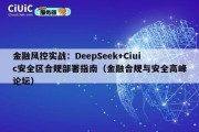 金融风控实战：DeepSeek+Ciuic安全区合规部署指南（金融合规与安全高峰论坛）