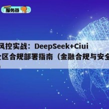 金融风控实战：DeepSeek+Ciuic安全区合规部署指南（金融合规与安全高峰论坛）