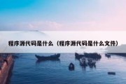 程序源代码是什么（程序源代码是什么文件）