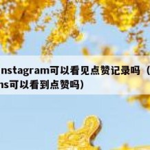 instagram可以看见点赞记录吗（ins可以看到点赞吗）