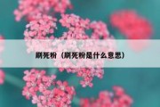 刷死粉（刷死粉是什么意思）