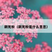 刷死粉（刷死粉是什么意思）