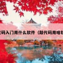 敲代码入门用什么软件（敲代码用啥软件）