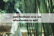 com.facebook.orca（comfacebookorca apk）