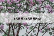 芯片开源（芯片开源网站）