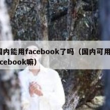 国内能用facebook了吗（国内可用facebook嘛）