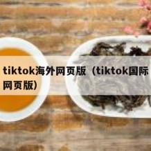 tiktok海外网页版（tiktok国际网页版）