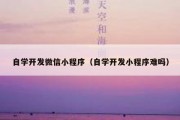 自学开发微信小程序（自学开发小程序难吗）