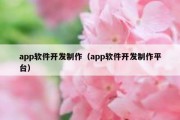 app软件开发制作（app软件开发制作平台）