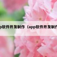 app软件开发制作（app软件开发制作平台）