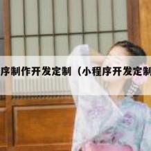 小程序制作开发定制（小程序开发定制app）