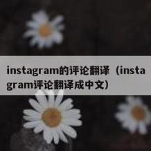 instagram的评论翻译（instagram评论翻译成中文）