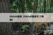 tiktok链接（tiktok链接不了网络）