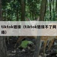 tiktok链接（tiktok链接不了网络）