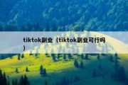 tiktok副业（tiktok副业可行吗）